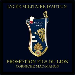 Album cover of Promotion fils du lion