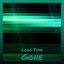 Album cover of Long Time Gone