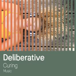 Album cover of zZz Deliberative Curing Music zZz