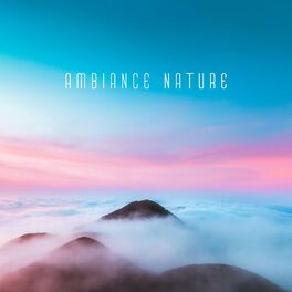 Album cover of Ambiance nature: Oiseaux chanteurs, Vagues de l'océan, Sons de la forêt et de l'eau