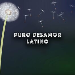 Album cover of Puro Desamor Latino