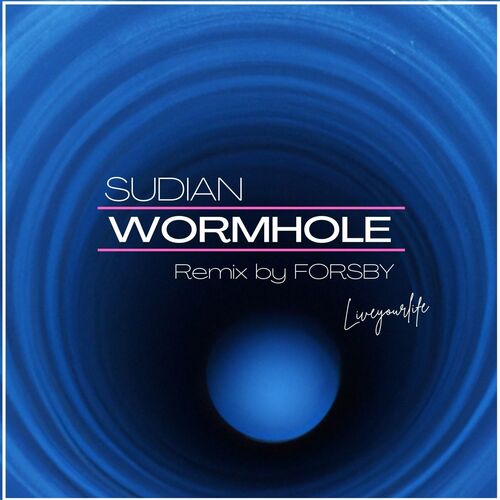 Sudian - Wormhole (2023) MP3