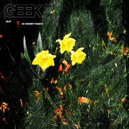 Album cover of Geek (feat. Ordnry Yngstr)