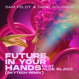 Album cover of Future In Your Hands (feat. Aloe Blacc) (Skytech Remix)