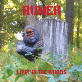 Album cover of Livin' in the Woods