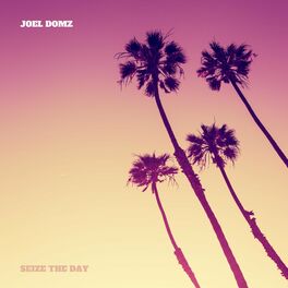 Album cover of Seize the day