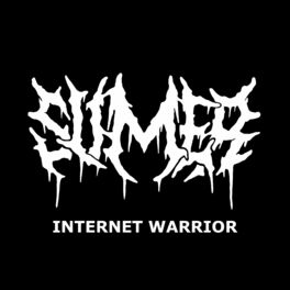 Album cover of Internet Warrior
