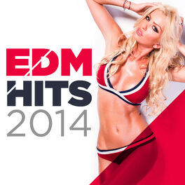 Album cover of EDM Hits 2014
