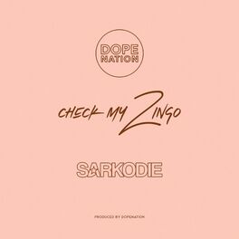 Album cover of Check My Zingo