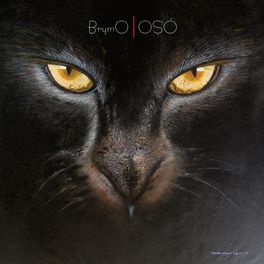 Album cover of Oṣó