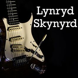 Album cover of Lynryd Skynyrd - Superstar Concert Series FM Broadcast The Lakewood Atlanta 1994 Part Two.