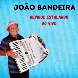 Album cover of REPIQUE ESTALANDO AO VIVO