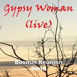 Album cover of Gypsy Woman (Live)