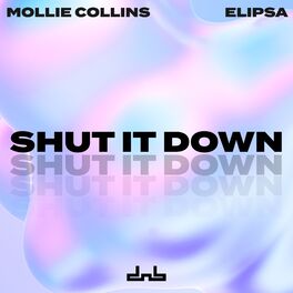 Album cover of Shut It Down