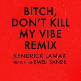 Album cover of Bitch, Don't Kill My Vibe (Remix)