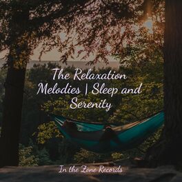 Album cover of The Relaxation Melodies | Sleep and Serenity
