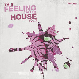 Album cover of This Feeling Called House, Vol. 2