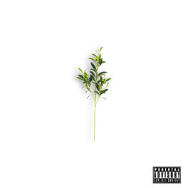 Album cover of Olive Branch