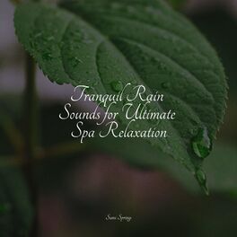 Album cover of Tranquil Rain Sounds for Ultimate Spa Relaxation