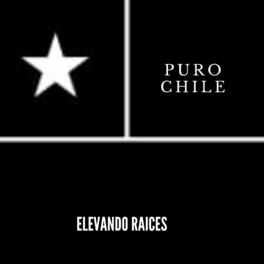 Album cover of Puro Chile
