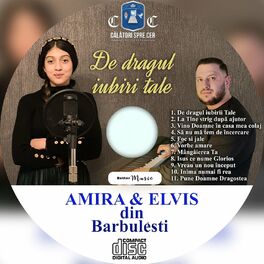 Album cover of De Dragul Iubiri Tale