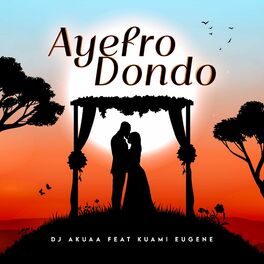 Album cover of Ayefro Dondoo (feat. Kuami Eugene)