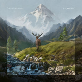 Album cover of Rise Radiant (Bonus Tracks Version)