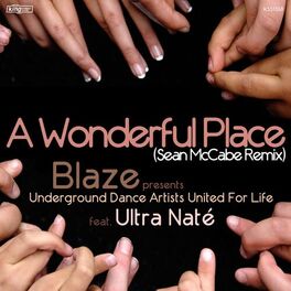 Album cover of A Wonderful Place