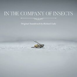 Album cover of In the Company of Insects (Original Soundtrack)