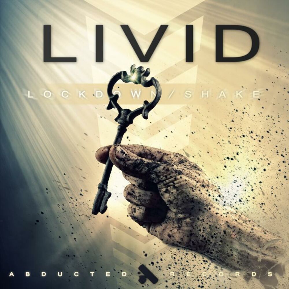 Shake original mix. Livid певец.