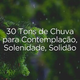 Album cover of 30 Tons de Chuva para Contemplação, Solenidade, Solidão