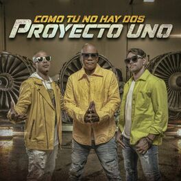 Album cover of Como Tu No Hay Dos