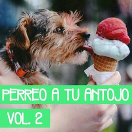 Album cover of Perreo A Tú Antojo Vol. 2