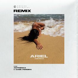 Album cover of Ariel (Remix)