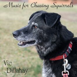 Album cover of Music for Chasing Squirrels