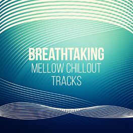 Album cover of Breathtaking Mellow Chillout Tracks