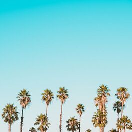 Album cover of Chill Music - Chill Songs - Chill Vibes - Acoustic Chill - Chillout Lounge