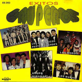 Album cover of Exitos Gruperos - (Los galos - Los autenticos pasteles verdes - Los moros - Pomada- Grupo Miramar - Los bukis)