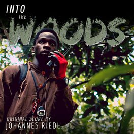 Album cover of Into the Woods (Original Score)