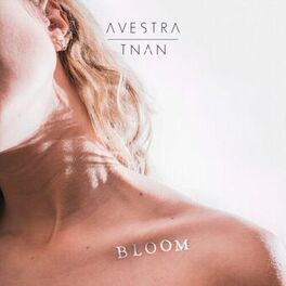 Album cover of Bloom