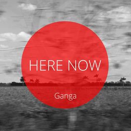 Album cover of Here Now