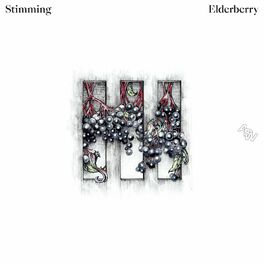 Album cover of Elderberry