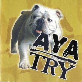 Album cover of TRY