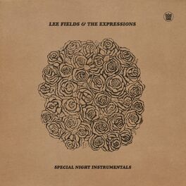 Album cover of Special Night (Instrumentals)