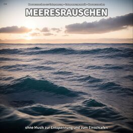 Album cover of ** Meeresrauschen ohne Musik zur Entspannung und zum Einschlafen