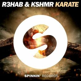 Album cover of Karate