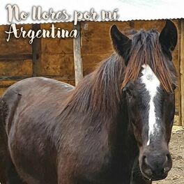 Album cover of No Llores Por Mí Argentina (Cover)
