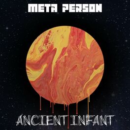 Album cover of Meta Person