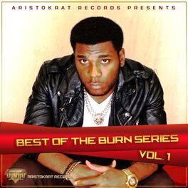 Album cover of Best of Burn Series, Vol. 1