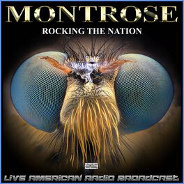 Album cover of Rocking The Nation (Live)